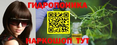 шишки Рыбинск
