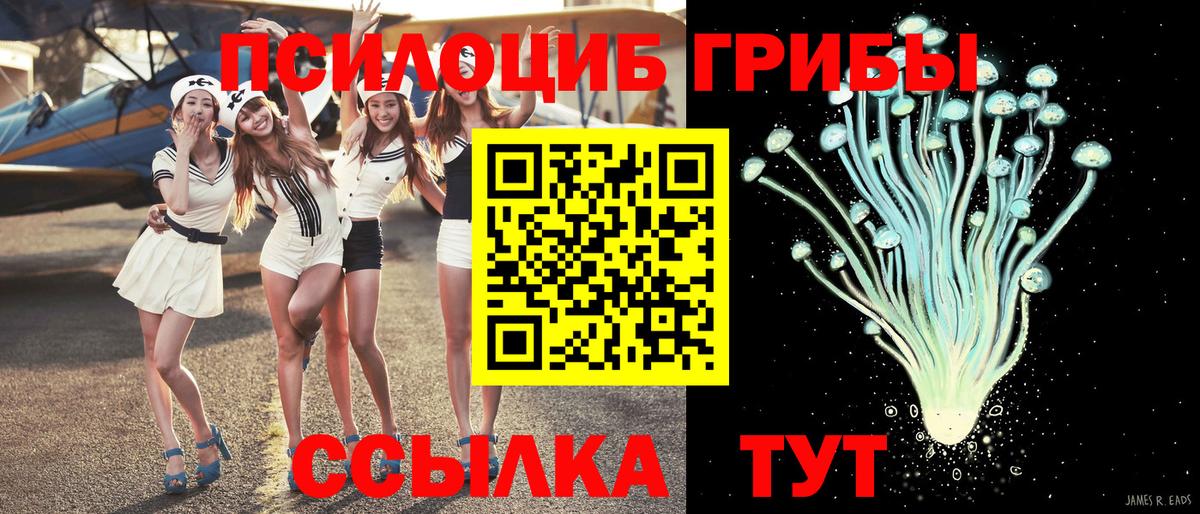 Сарапул  Галлюциногенные грибы Psilocybe  Псилоцибиновые грибы ЛСД  Вход с VPN 